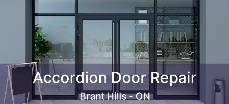  Accordion Door Repair Brant Hills - ON