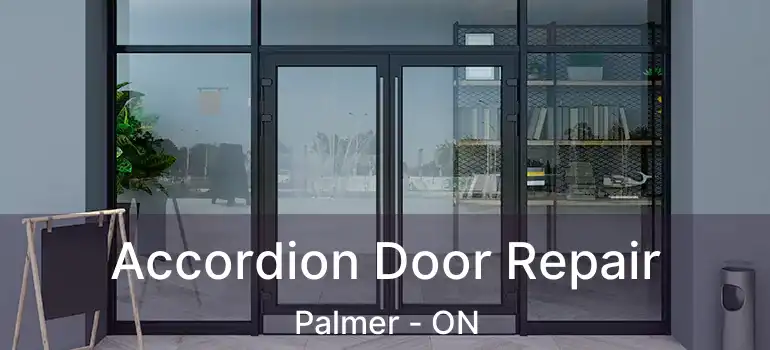 Accordion Door Repair Palmer - ON