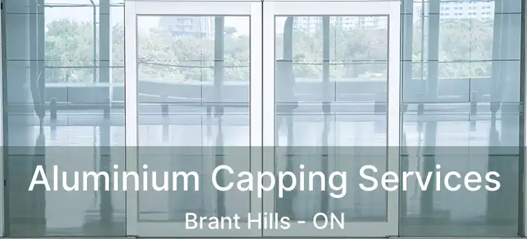  Aluminium Capping Services Brant Hills - ON