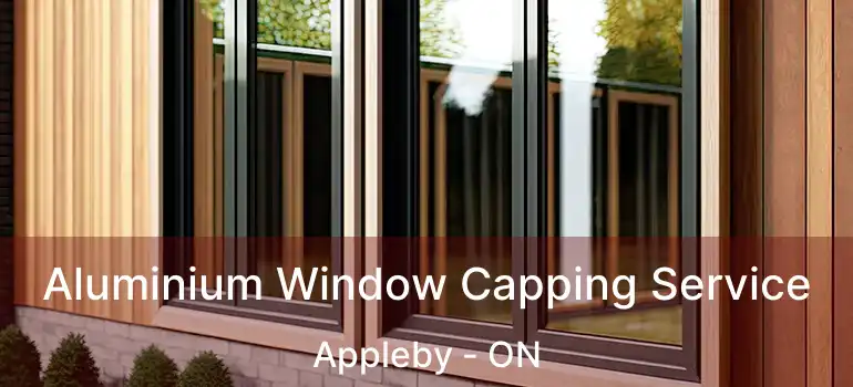  Aluminium Window Capping Service Appleby - ON