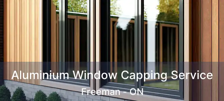  Aluminium Window Capping Service Freeman - ON