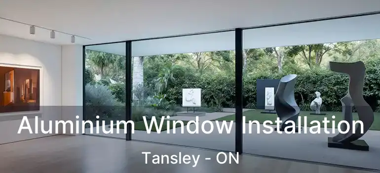  Aluminium Window Installation Tansley - ON