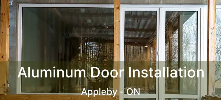  Aluminum Door Installation Appleby - ON