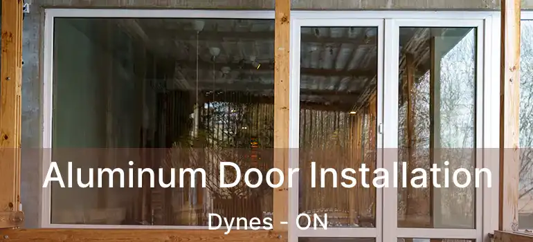  Aluminum Door Installation Dynes - ON
