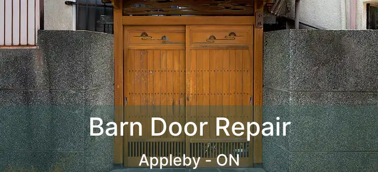  Barn Door Repair Appleby - ON