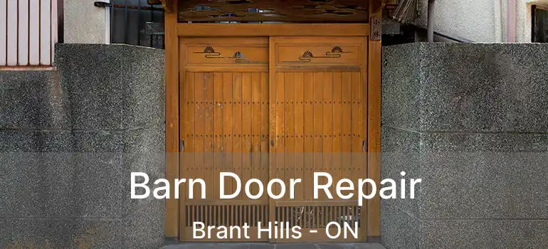  Barn Door Repair Brant Hills - ON