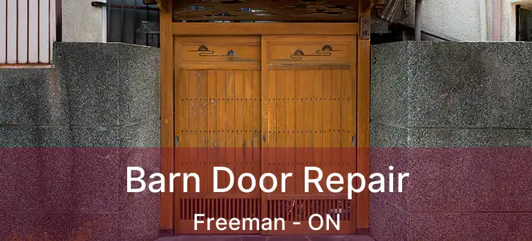  Barn Door Repair Freeman - ON