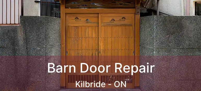  Barn Door Repair Kilbride - ON