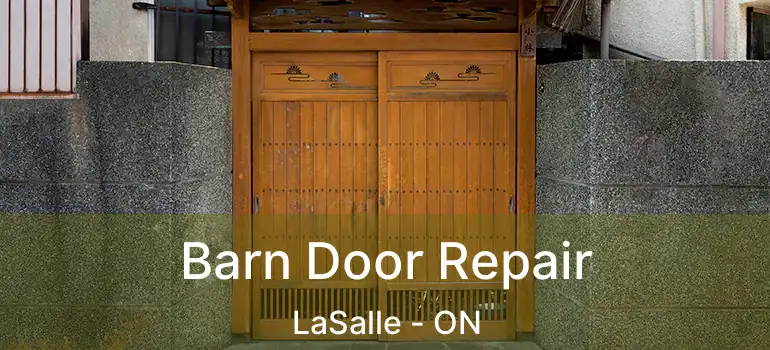  Barn Door Repair LaSalle - ON