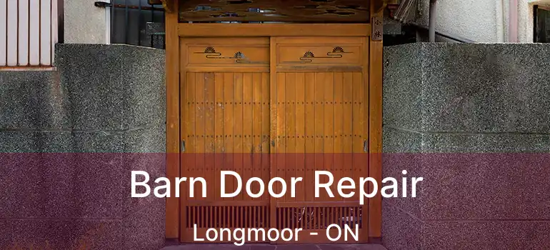  Barn Door Repair Longmoor - ON