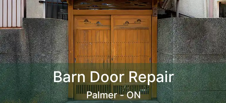  Barn Door Repair Palmer - ON