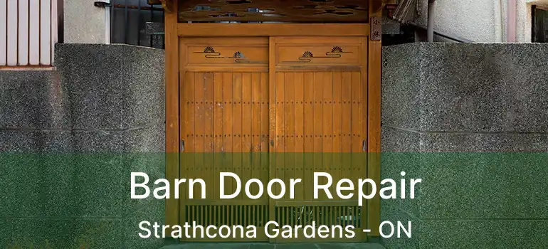  Barn Door Repair Strathcona Gardens - ON