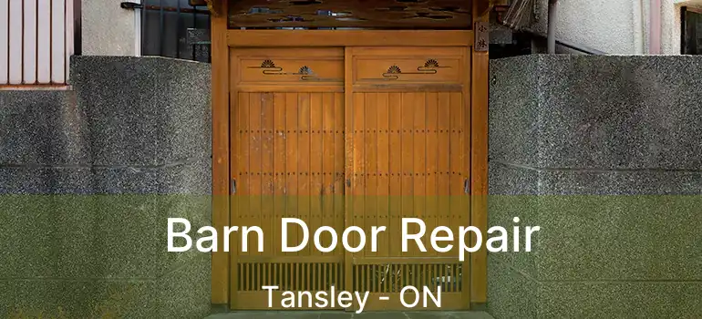  Barn Door Repair Tansley - ON