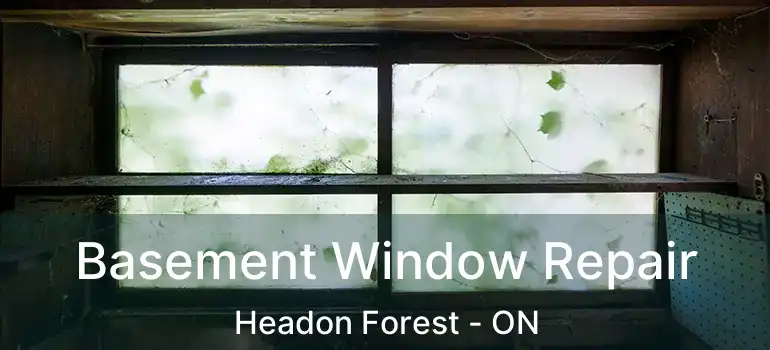  Basement Window Repair Headon Forest - ON