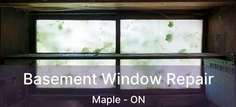  Basement Window Repair Maple - ON