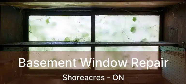  Basement Window Repair Shoreacres - ON