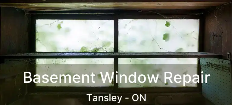 Basement Window Repair Tansley - ON