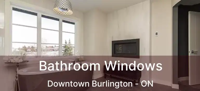  Bathroom Windows Downtown Burlington - ON