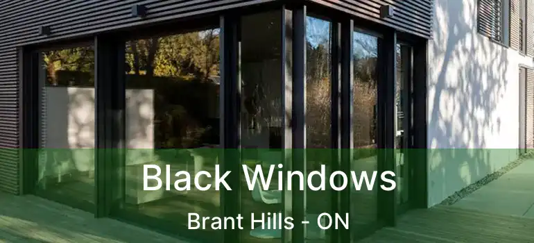  Black Windows Brant Hills - ON
