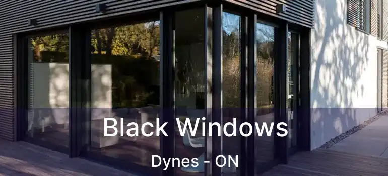  Black Windows Dynes - ON