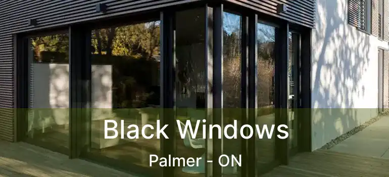  Black Windows Palmer - ON