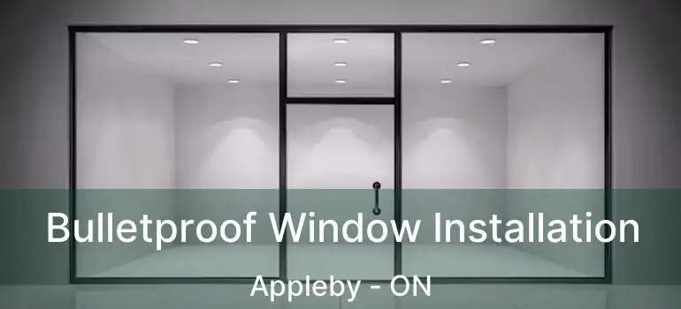  Bulletproof Window Installation Appleby - ON