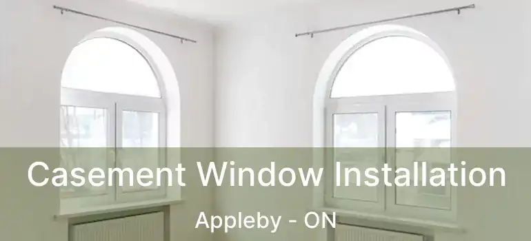  Casement Window Installation Appleby - ON