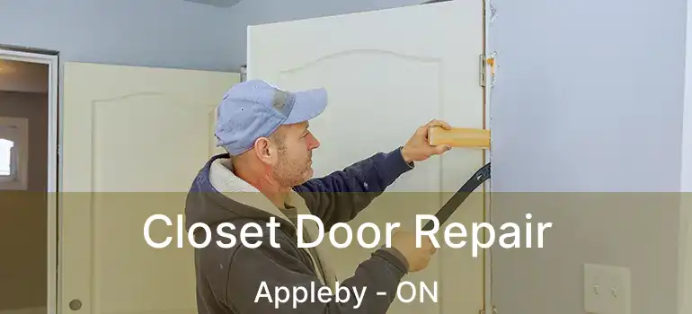  Closet Door Repair Appleby - ON