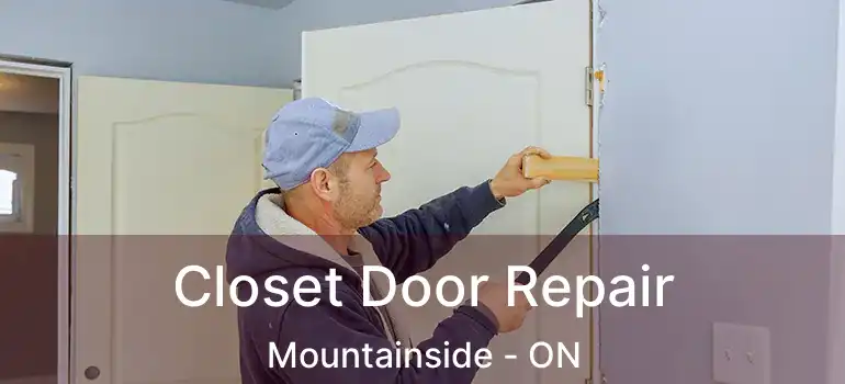  Closet Door Repair Mountainside - ON