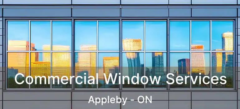  Commercial Window Services Appleby - ON