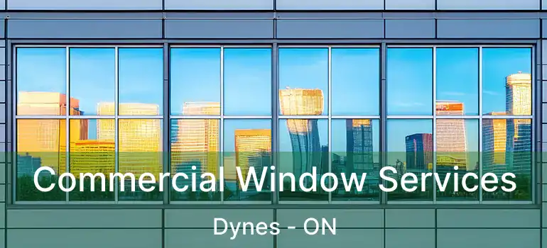  Commercial Window Services Dynes - ON