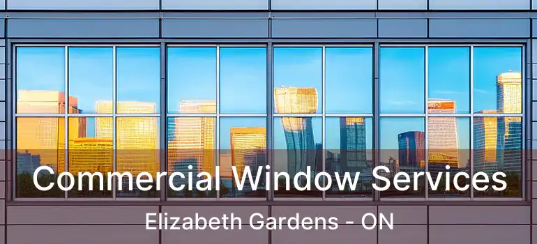  Commercial Window Services Elizabeth Gardens - ON