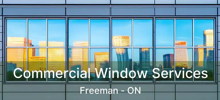  Commercial Window Services Freeman - ON