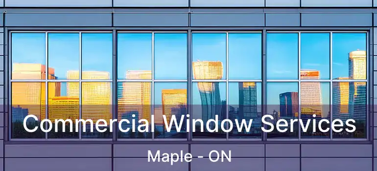  Commercial Window Services Maple - ON