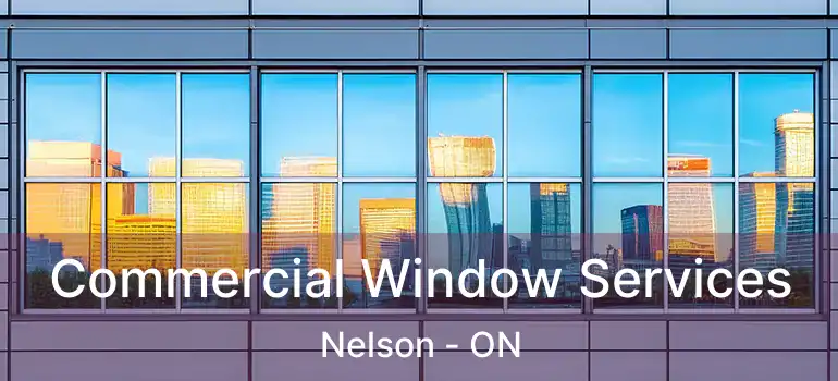  Commercial Window Services Nelson - ON