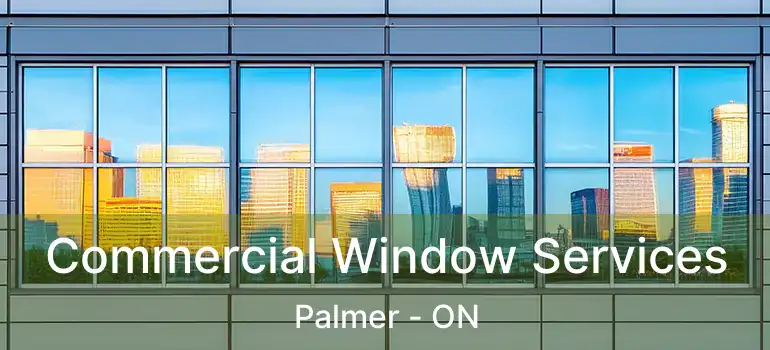  Commercial Window Services Palmer - ON