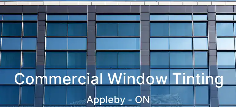  Commercial Window Tinting Appleby - ON