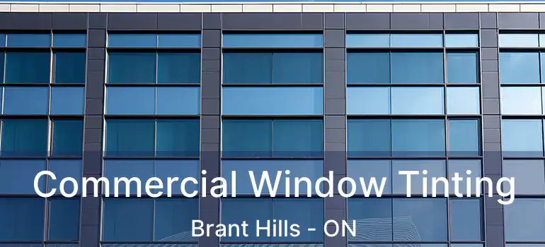  Commercial Window Tinting Brant Hills - ON