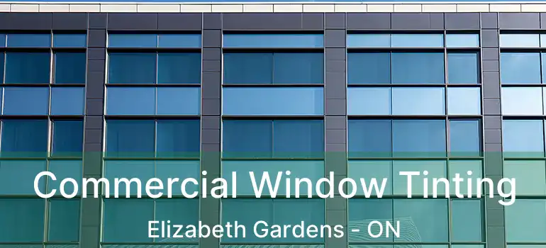  Commercial Window Tinting Elizabeth Gardens - ON