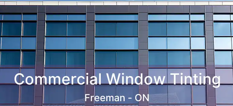  Commercial Window Tinting Freeman - ON
