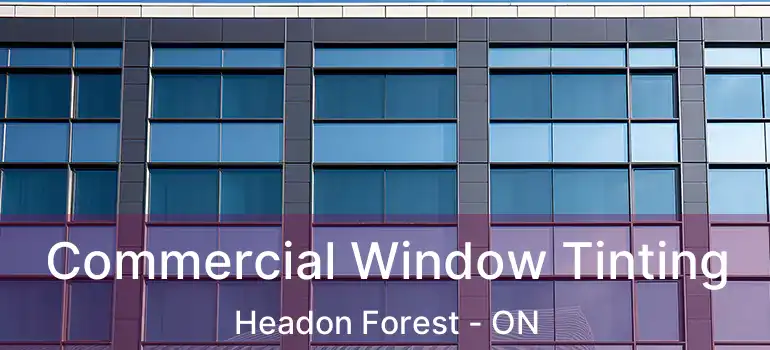  Commercial Window Tinting Headon Forest - ON
