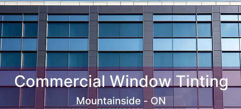  Commercial Window Tinting Mountainside - ON