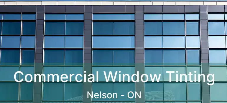 Commercial Window Tinting Nelson - ON