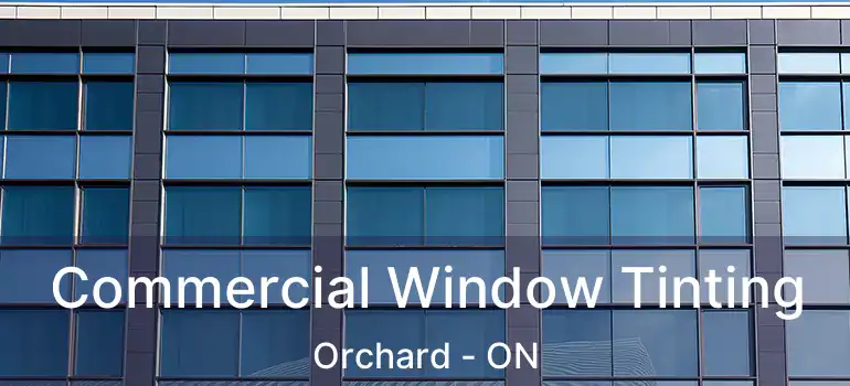  Commercial Window Tinting Orchard - ON