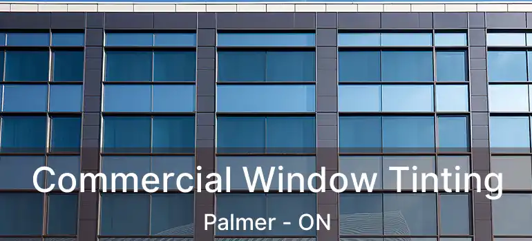  Commercial Window Tinting Palmer - ON