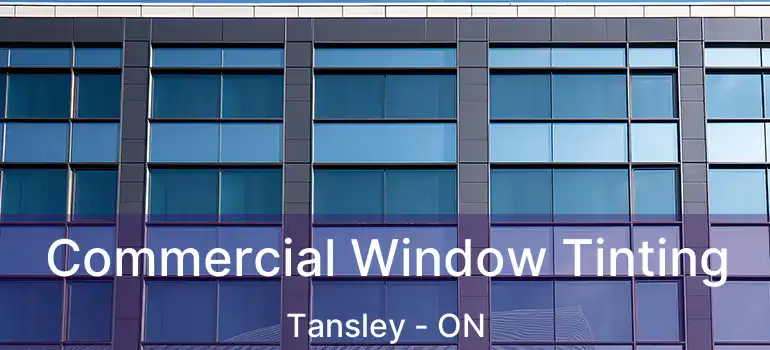  Commercial Window Tinting Tansley - ON