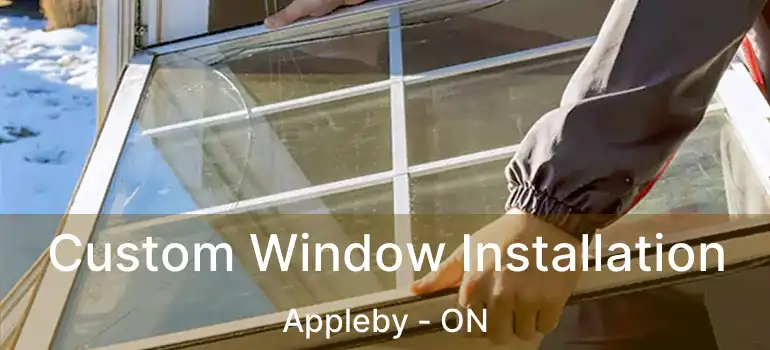  Custom Window Installation Appleby - ON