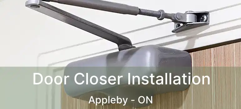  Door Closer Installation Appleby - ON