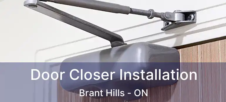  Door Closer Installation Brant Hills - ON