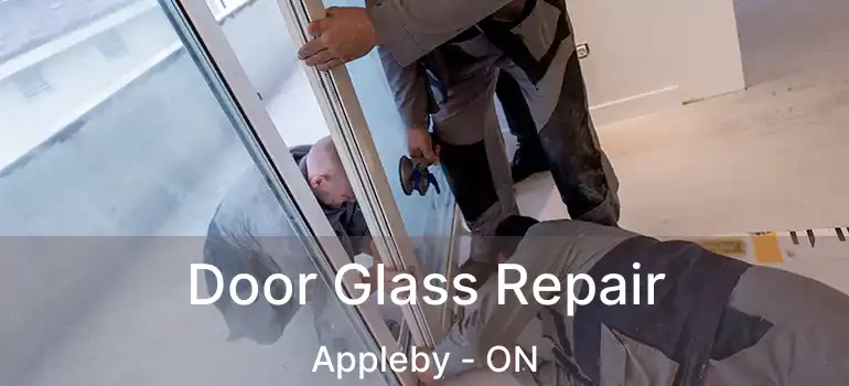  Door Glass Repair Appleby - ON